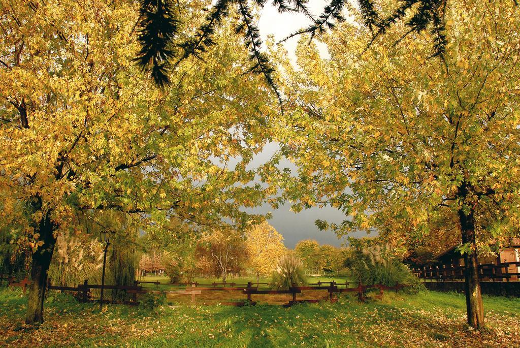 Agriturismo Monte Due Torri Genzano di Roma Exteriör bild